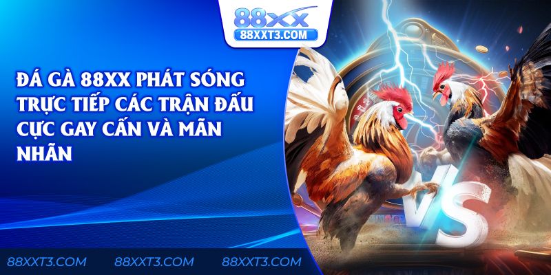 Đá gà 88xx phát sóng trực tiếp các trận đấu cực gay cấn và mãn nhãn